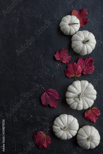 White Mini Pumpkins and Red Maple Leaves in Autumn