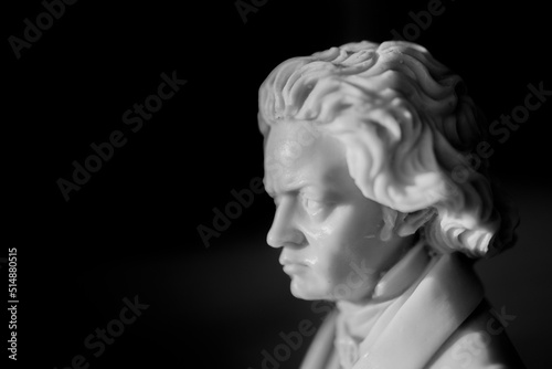 portrait of a person beethoven classical music
