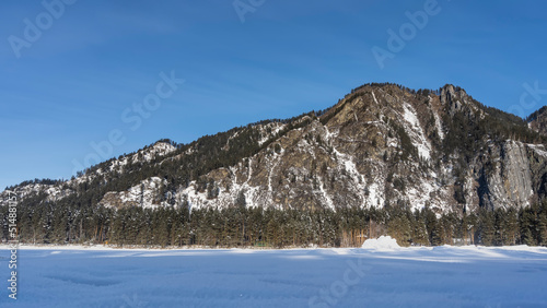 A picturesque mountain against a clear blue sky. There are coniferous trees on the snow-covered slopes and at the foot. Pure white snow covers the valley. Altai