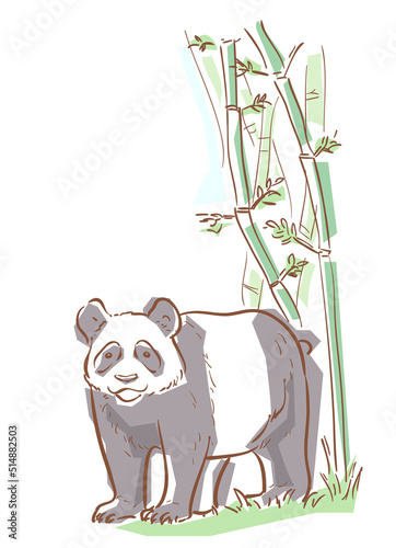 Panda Bamboo Border Illustr...