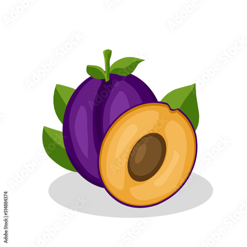 Illustration of a plum fruit.Plum icon.Fruits