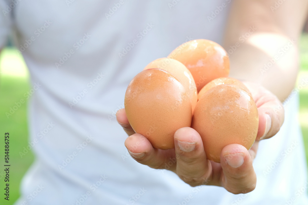 A man's hand holds a perfectly sized quality chicken egg in his hand on his farm. natural green background A man's hand holds a perfectly sized quality chicken egg in his hand on his farm. natural green background