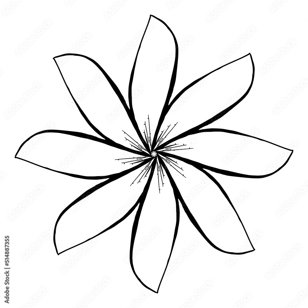 Hand Drawn Line Art Drawing of Flower.Sketch line drawing flower