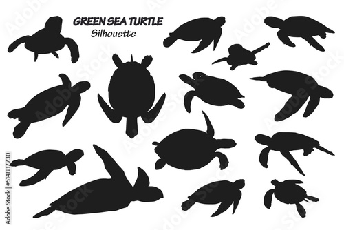 Green sea turtle silhouette