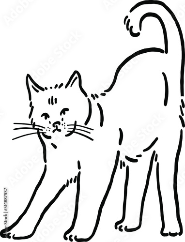 Cat stretching Animal in action Hand drawn Line art Illustration