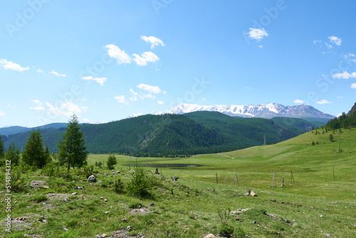 Green meadow against a background of snow-covered peaks and tops with trees. A picturesque place. Travelling by car.