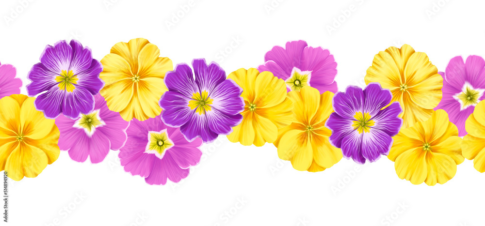seamless border with drawing flowers of purple and yellow primrose at white background , hand drawn botanical illustration