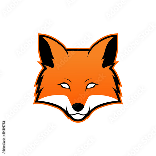red fox isolated on white