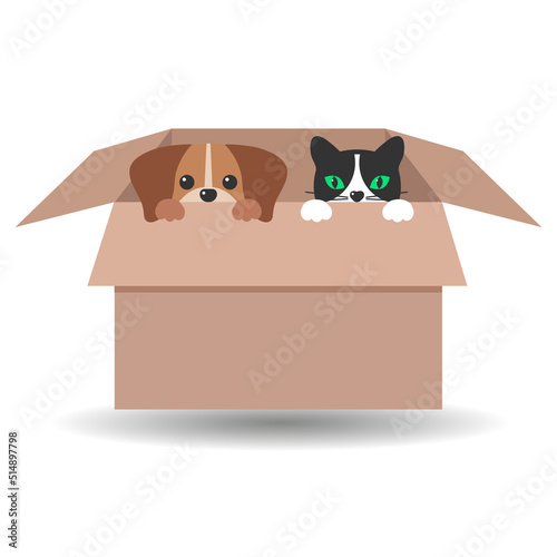 Illustration of cute dog and cat in a box with shadow on a white background