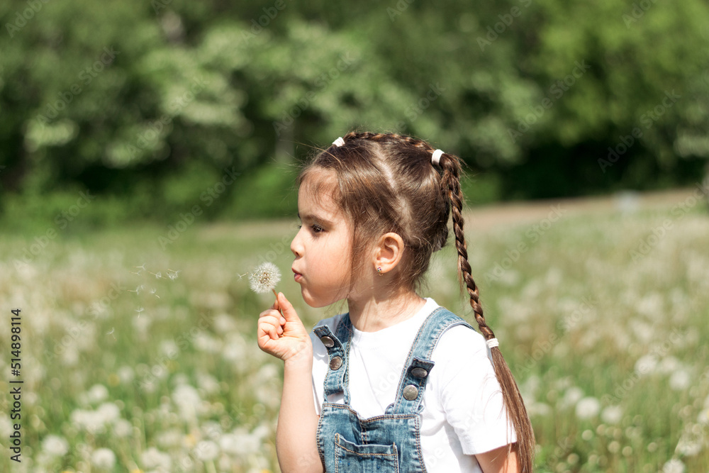 Portrait of a little caucasian girl with pigtails blowing on dandelions.Summer, childhood concept.