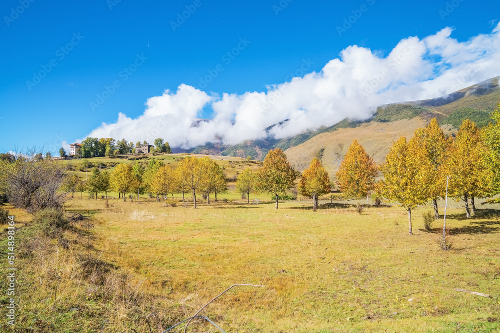 Fototapeta premium Beautiful scenery of grasslands, pastures and villages in Western Sichuan Province, China