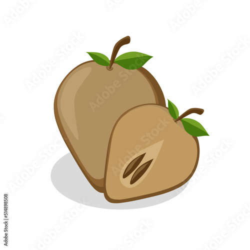 Sapodilla fruit illustration. Sapodilla fruit icon. Fruits