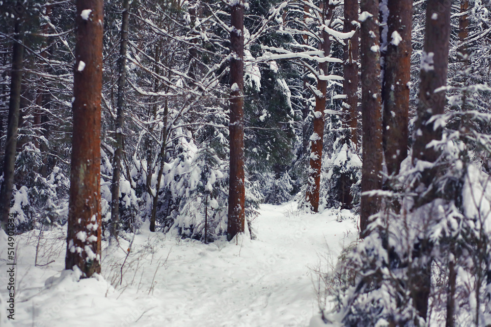 Fototapeta premium Winter landscape. Fairy-tale beauty of snow-covered streets. Snowfall and cooling in tourist areas.