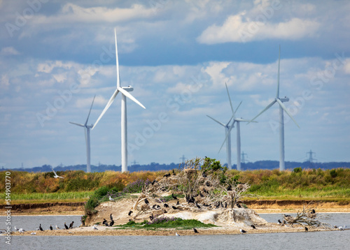 Little Cheyne Court windfarm on the Romney marsh between Camber and Lydd on the East Sussex Kent border south east England UK photo