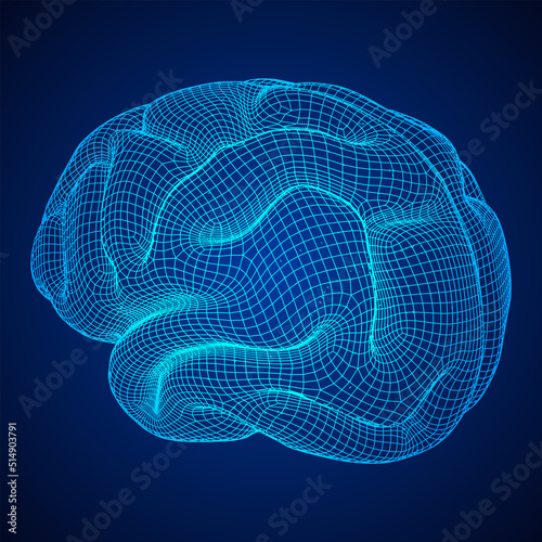 Brain. Low poly abstract digital human brain. Wireframe illustration.