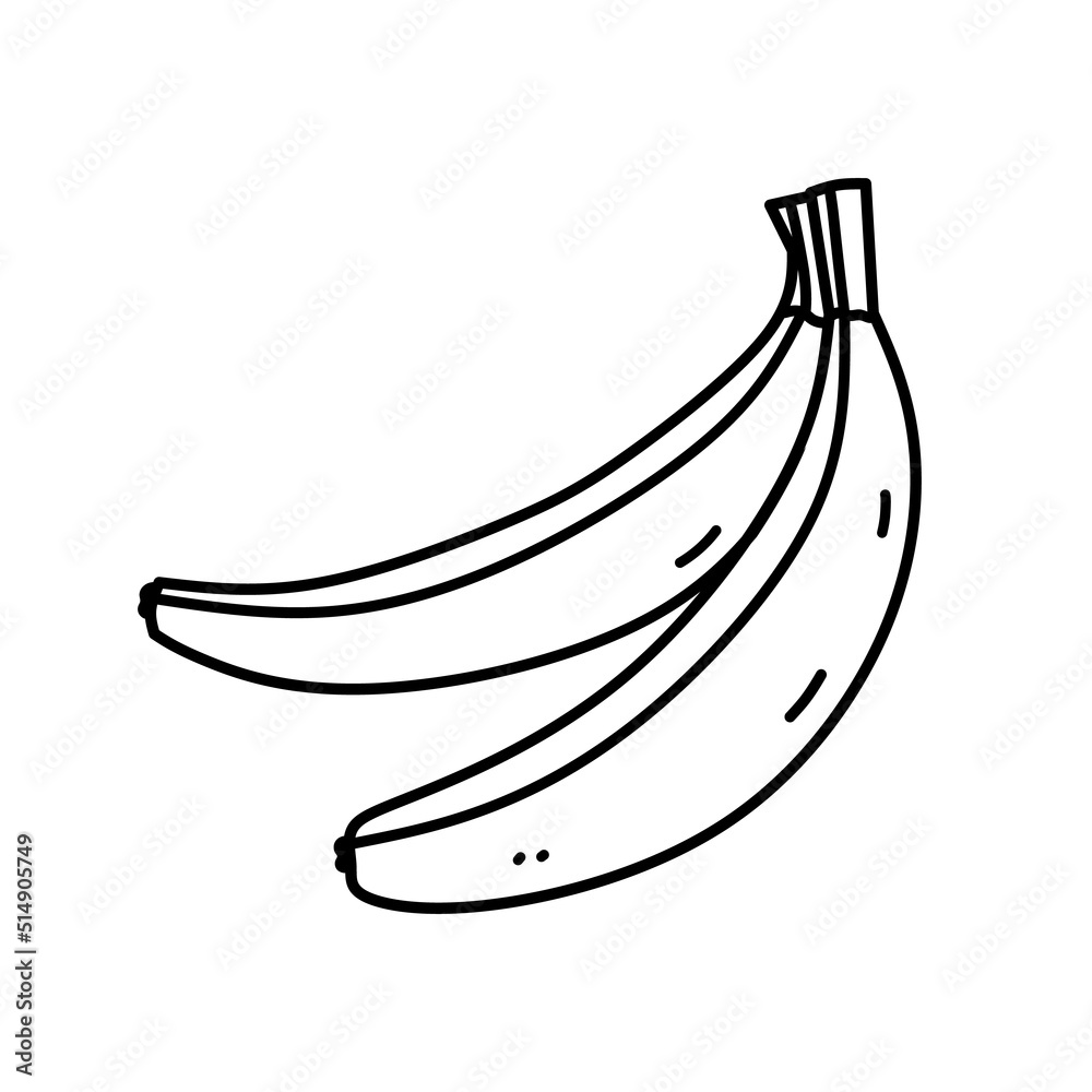 Bunch of bananas isolated on white background. Ripe fruit. Vector hand-drawn illustration in doodle style. Perfect for cards, logo, decorations, recipes, menu, various designs.