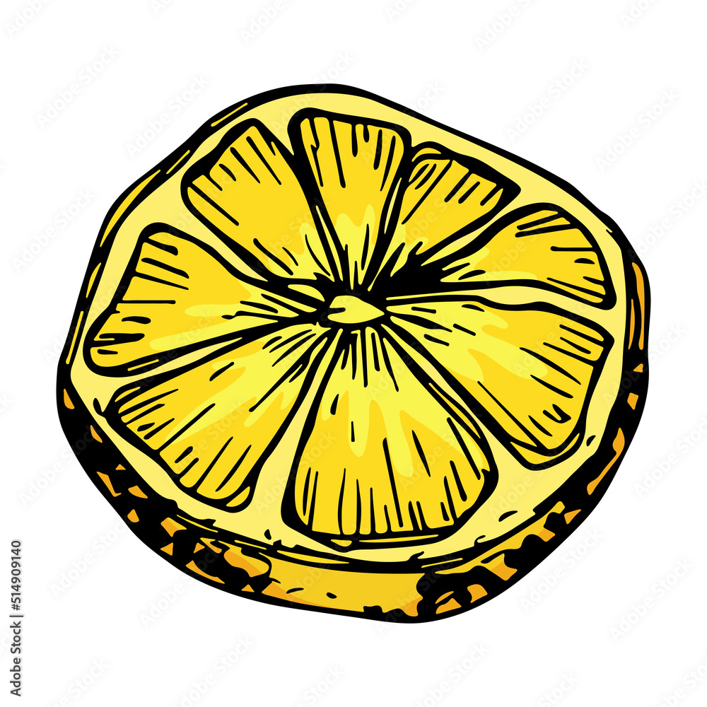 Vector lemon clipart. Hand drawn citrus icon. Fruit illustration. For print, web, design, decor Vector lemon clipart. Hand drawn citrus icon. Fruit illustration. For print, web, design, decor