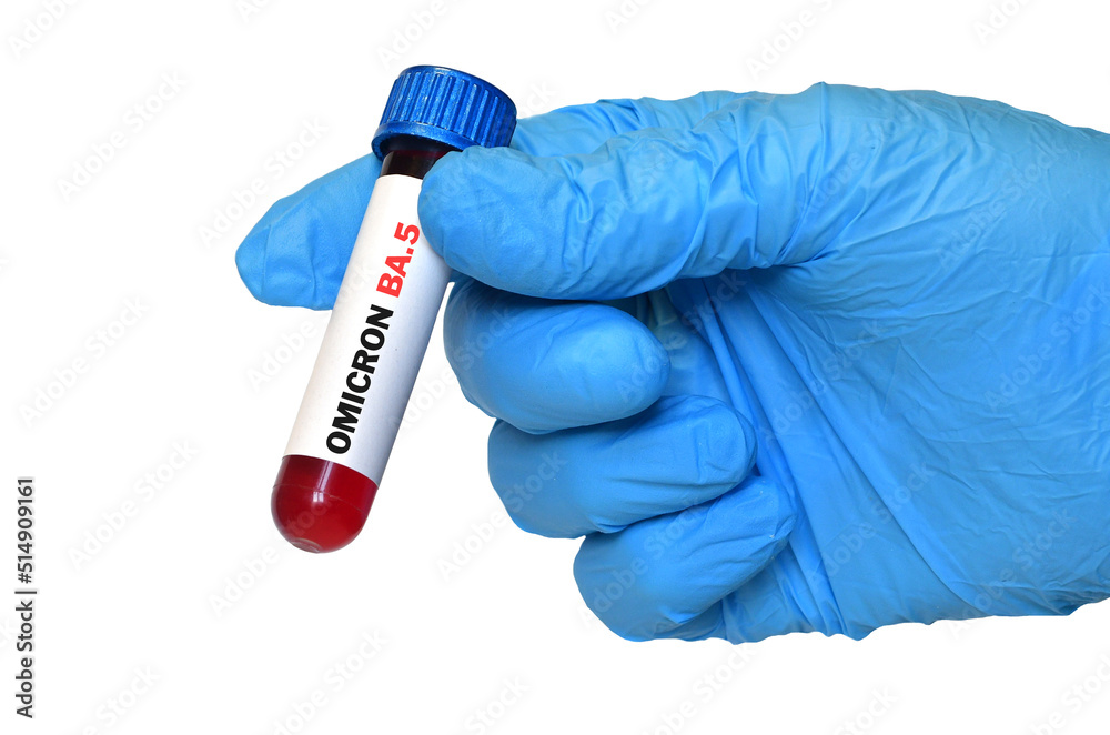 Naklejka premium The hand of the doctor in blue gloves holds a test tube for the detection test of the new variant of the virus Covid-19 Omicron BA.5