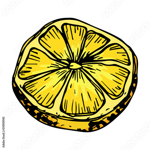 Vector lemon clipart. Hand drawn citrus icon. Fruit illustration. For print, web, design, decor