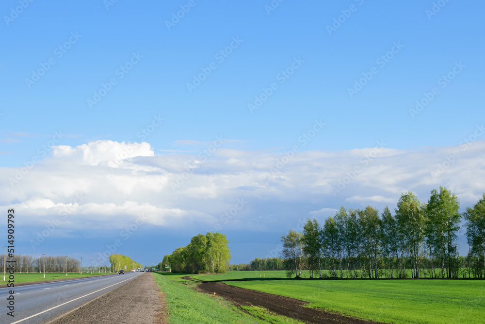 Green trees stand in a row on a green field under a bright blue cloudy sky on a summer sunny day