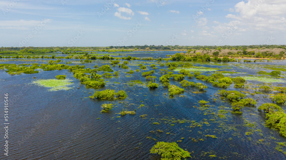 Aerial view of Lake with birds in the Kumana national park. Sri Lanka.