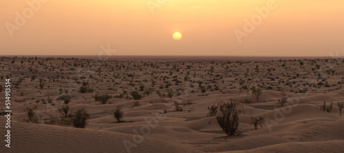 Yellow sandy landscapes during sunset in the Douz Desert of Tunisia.