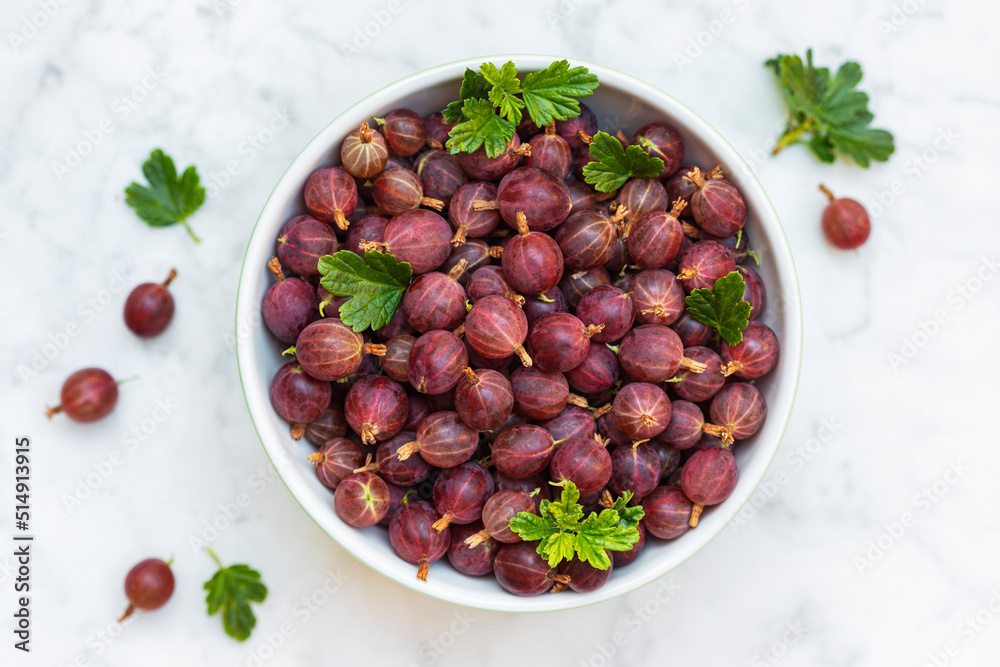 Studio shot of bowl of freshly picked gooseberries standing on marble surface Studio shot of bowl of freshly picked gooseberries standing on marble surface