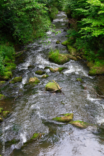 Germany, Saxony, Wesenitz river flowing through Liebethaler Grund valley in spring photo