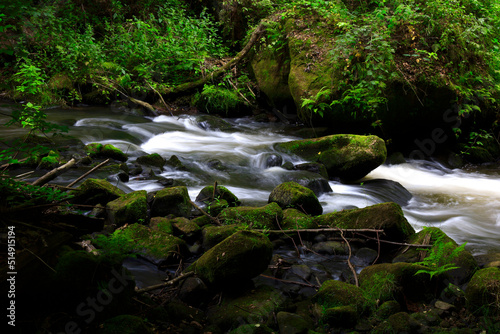 Germany, Saxony, Long exposure of Wesenitz river flowing through Liebethaler Grund valley in spring photo