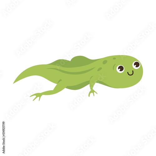 Tadpole cartoon character vector illustration. Drawings of green toads jumping  sitting in pond with lotus  catching dragonflies isolated on white