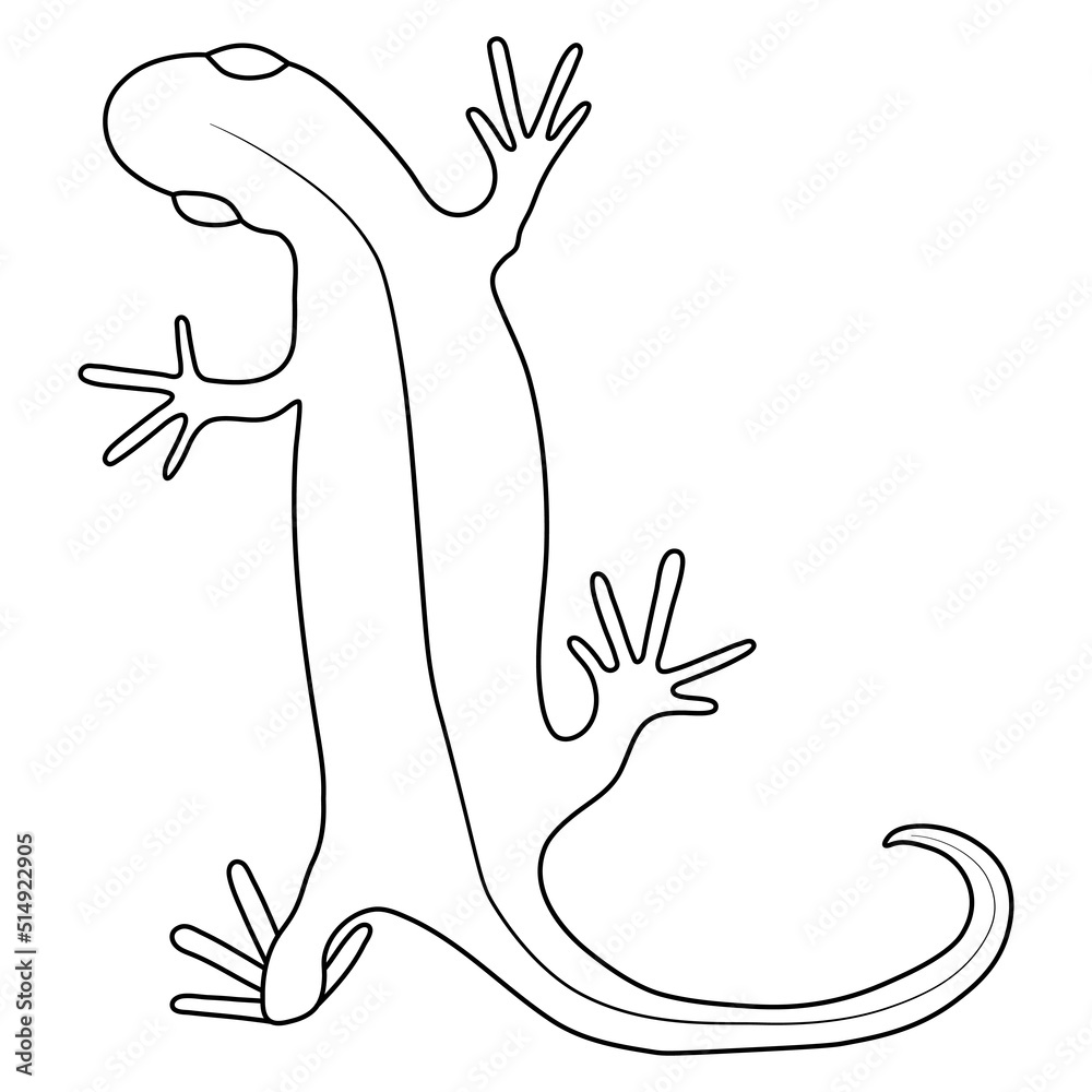 Lizard reptile gecko outline vector illustration. Simple line art ...