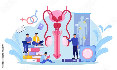 People are studying sex education. Human biology and anatomy lesson. Sexual health lesson for young people. Contraception and male reproductive system. Body internal organ. Sexuality and gender