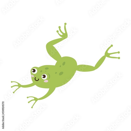 Cute frog cartoon character vector illustration. Drawings of green toad jumping catching dragonflies isolated on white
