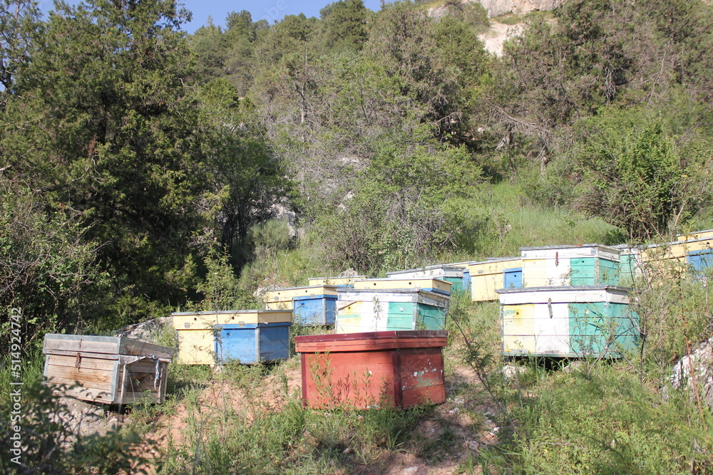 Bees at old hive entrance. Bees returning from honey collection. Bees at old hive entrance. Bees returning from honey collection.