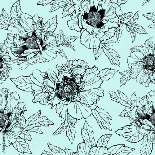 Wallpaper Mural Seamless pattern with Paeonia rockii flower (tree peony, Paeonia suffruticosa, Rock's peony). Black and white outline illustration, hand drawn work isolated on blue background Torontodigital.ca