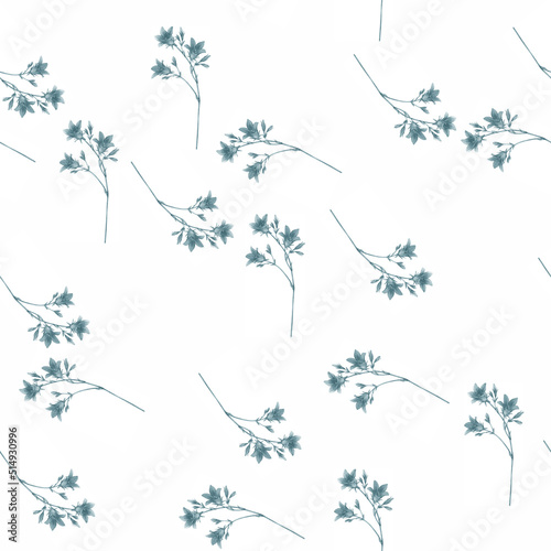 Seamless pattern with blue spreading bellflower flowers (Campanula patula, little bell, bluebell, rapunzel, harebell). Watercolor hand painting illustration on isolate white background.