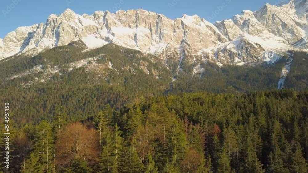 Aerial view rising above alpine woodland trees to view of majestic snowy Zugspitze sunlit mountains Aerial view rising above alpine woodland trees to view of majestic snowy Zugspitze sunlit mountains