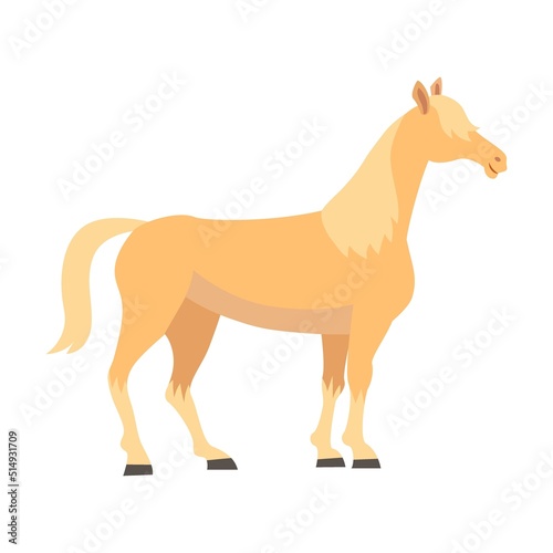 Breed of horse flat vector illustration. Colorful domestic animals  American mustangs standing and running isolated on white