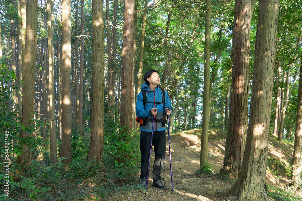 Fototapeta premium 山歩きする男性