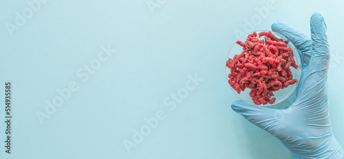 Lab grown meat concept - meat in petri dish photo