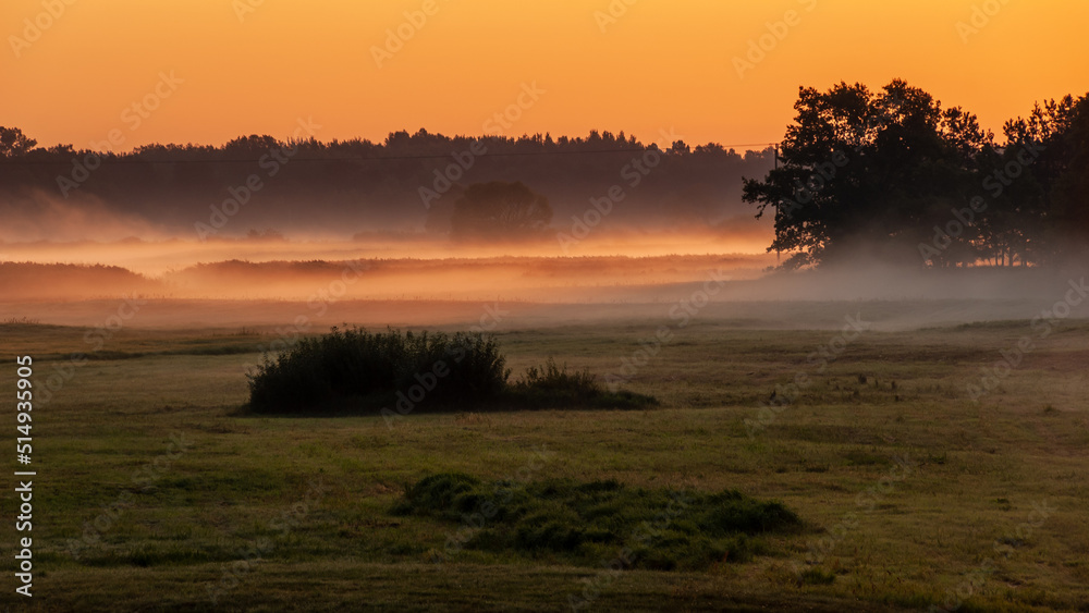 Letni poranek z mgłami w Dolinie Narwi, Podlasie, Polska Letni poranek z mgłami w Dolinie Narwi, Podlasie, Polska