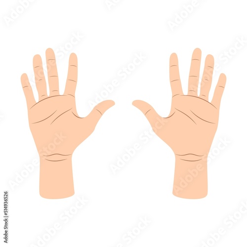 Palm hygiene cartoon illustration. Hands washing steps, using liquid soap, sanitizer and dry wipes. Healthy life, medical disinfection, healthcare concept