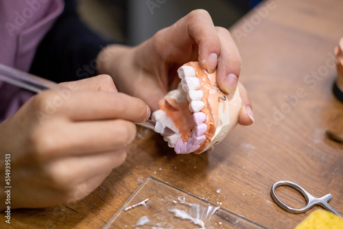 design studies in the dental laboratory photo