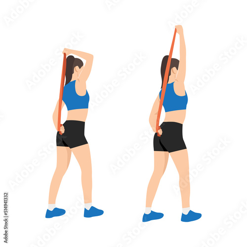 Woman doing Seated barbell french press exercise. Flat vector illustration isolated on white background