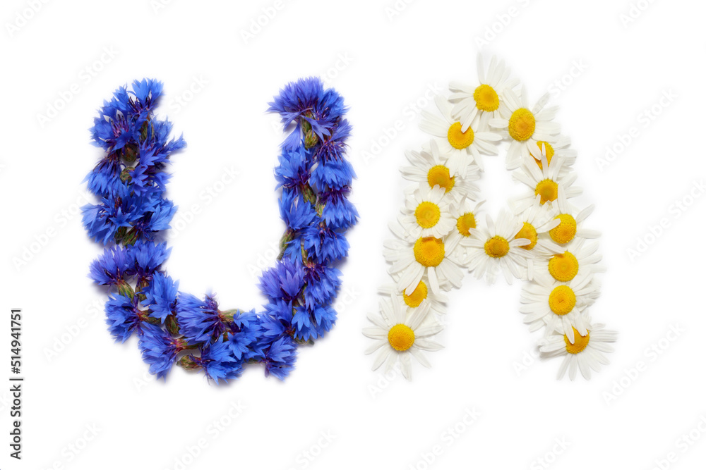 UA letters made of cornflowers and daisies in yellow-blue colors of the Ukrainian flag. ready-made inscription for design and layout.