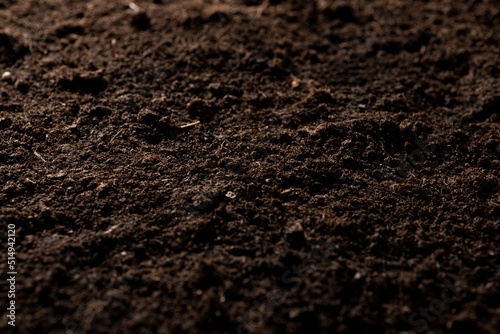 Black earth for plant background. Soil as background  farming concept