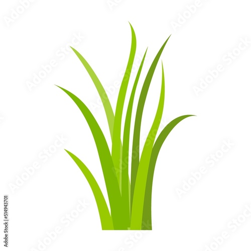 Grass icon. Leaf borders, nature background vector illustration. Green land for template design