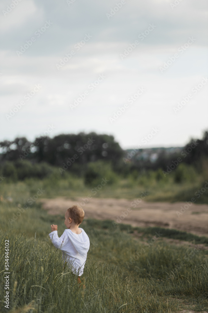A little boy walks alone in the field. A lost child. Toddler in the field. Dinita walks at sunset.