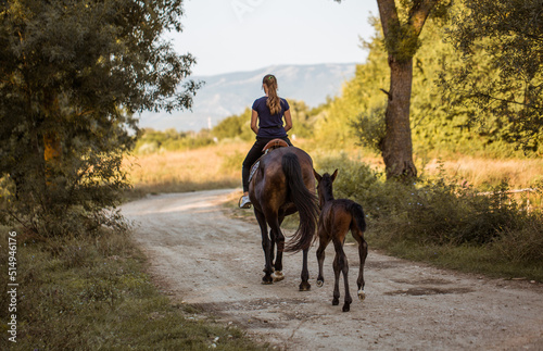 Girl riding a horse next to a foal. Horseback riding