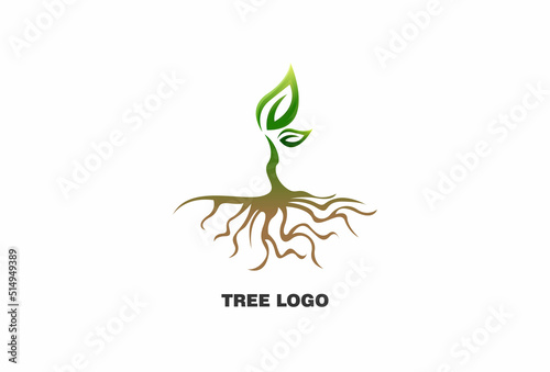 root of the tree logo. natural tree logo template